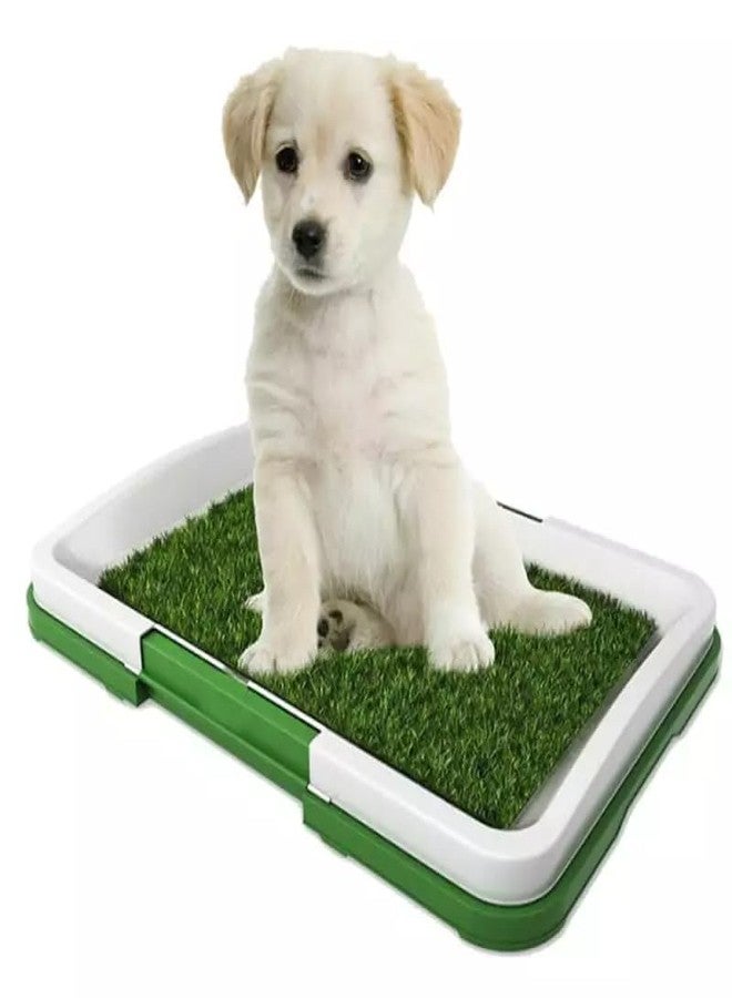 Emcrovi Puppy Potty Training pad - Washable & Reusable Dog Potty Tray with Lawn Fake Grass for Home Balcony Outdoor Garden,Dog Pee Toilet Training pad ( 1pcs ) - Image 3